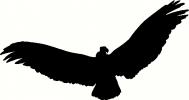 Bird (10) vinyl decal